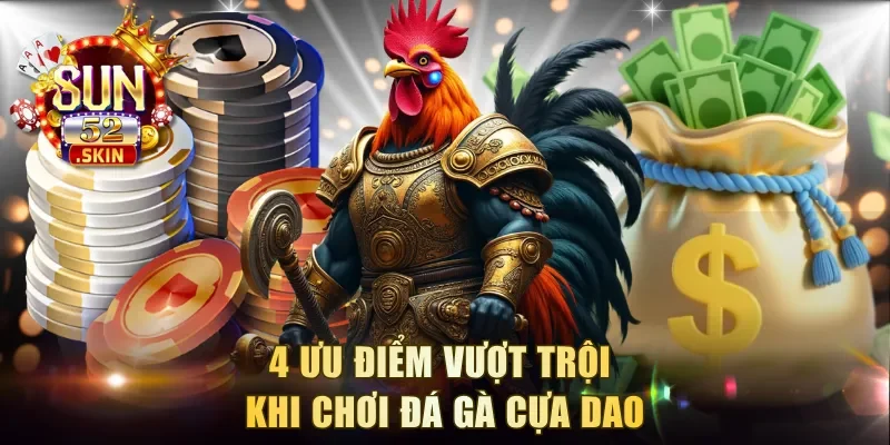 4 ưu điểm vượt trội khi chơi đá gà cựa dao