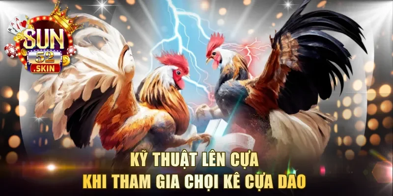Kỹ thuật lên cựa khi tham gia chọi kê cựa dao 
