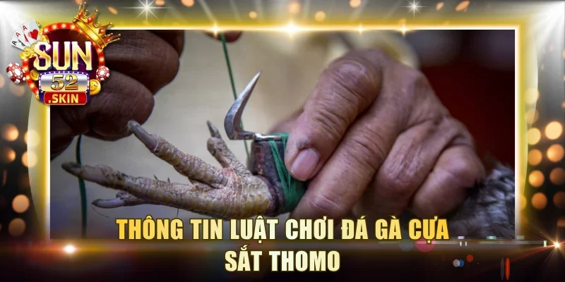 Thông tin luật chơi đá gà cựa sắt Thomo