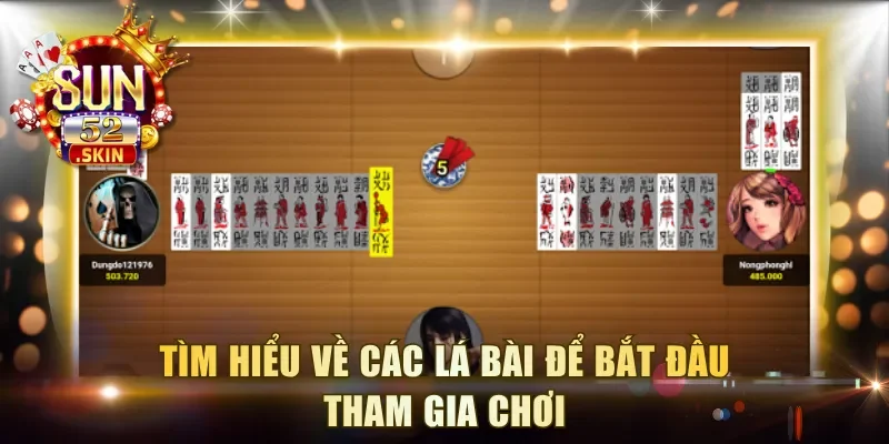 Tìm hiểu về các lá bài để bắt đầu tham gia chơi